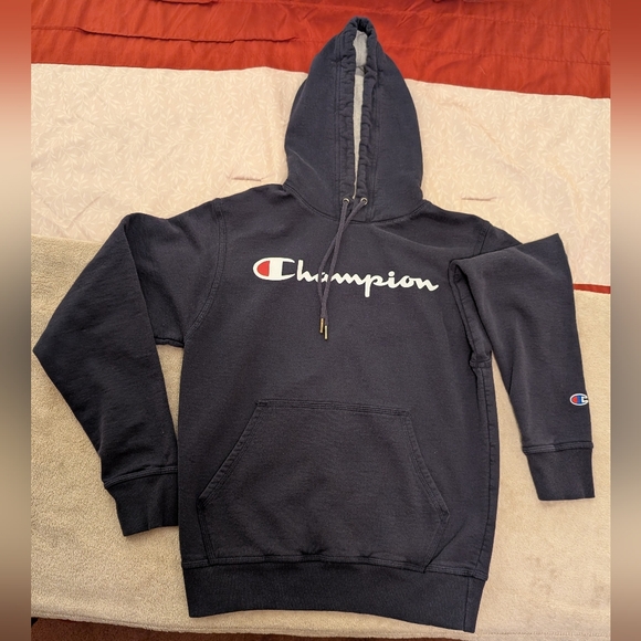 Champion Powerblend Men's Hoodie, Script Logo - Navy Blue, Small (GF89H) - Picture 1 of 5